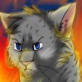 Hawkfrost