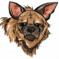 Hyena