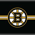 Bruins4Life