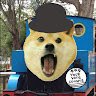 Dogeytrain
