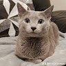Orbie_wan