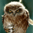 The Owl