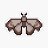 MothenaTux