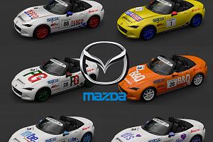 Racing Liveries