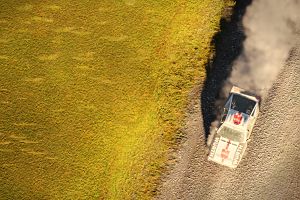DiRT 4