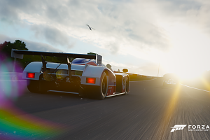 FM7