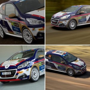 2017 ERC Neiksans Rally Sport #44
