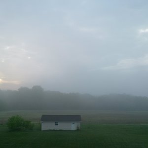 Foggy morning // Whittaker, Michigan