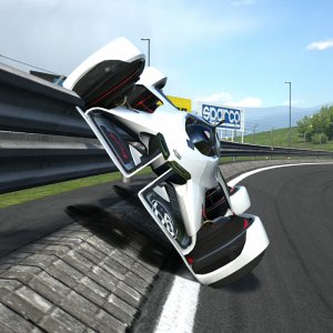 Chaparral And High Speed Ring