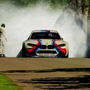 Goodwood Hillclimb 2014.jpg