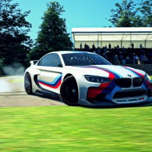 Goodwood Hillclimb 2014_1.jpg