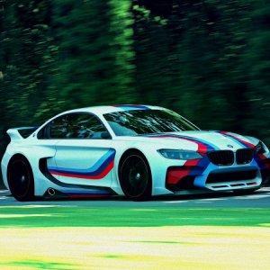 Goodwood Hillclimb 2014_3.jpg