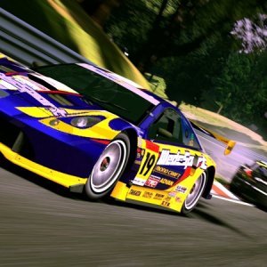 Deep Forest Raceway_1.jpg