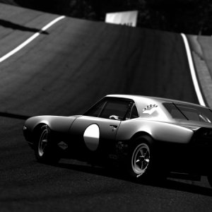 Deep Forest Raceway_4.jpg