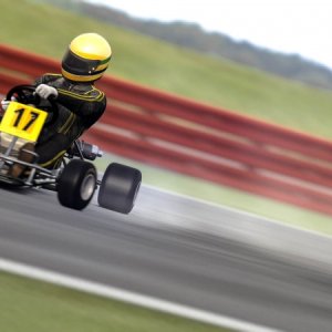 Ayrton_Kart_Tribute_5.jpg