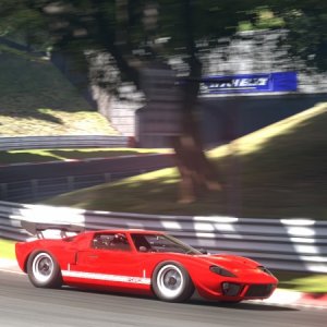 Deep Forest Raceway_13.jpg