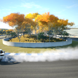 Autumn Ring_5.png