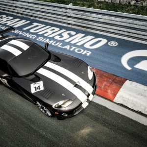 Viper 12.jpg