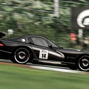 Viper 22.jpg