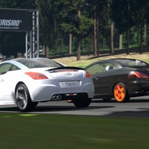 Deep Forest Raceway_2.jpg
