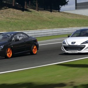 Deep Forest Raceway_1.jpg