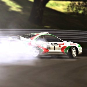 Deep Forest Raceway.jpg