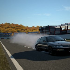 Autumn Ring - Mini_2.jpg