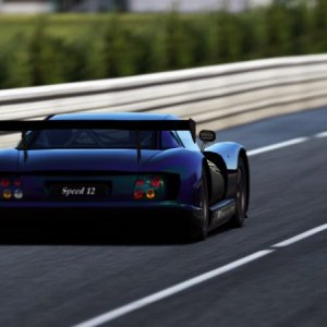 Circuit de la Sarthe 2013_3.jpg