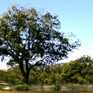 Ascari - Circuit complet.jpg