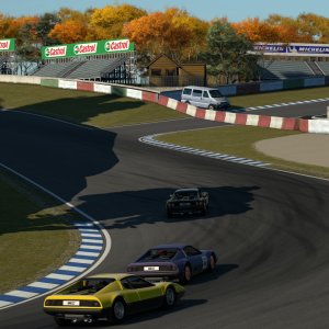 Autumn Ring_52