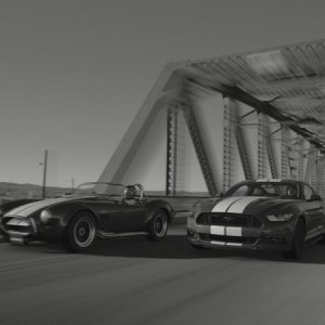 Drag race.jpg