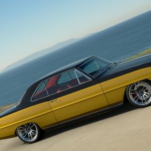 Black-Gold.jpg