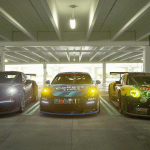 imageedit_12_2056890867.gif