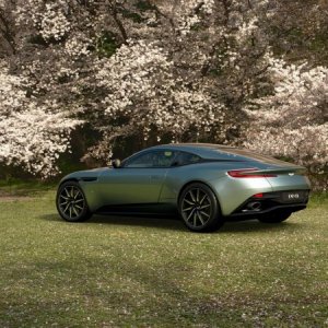 db11.jpg