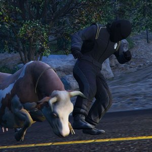 The tamed racing animal on the streets hits a snag with a tamed farming animal on the streets 3