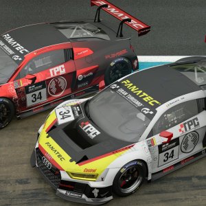 TPC Audi.jpg