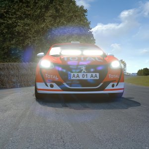 Screenshot_sr_peugeot208_rally4_g333_goodwood_hillclimb_31-7-121-21-48-34.jpg