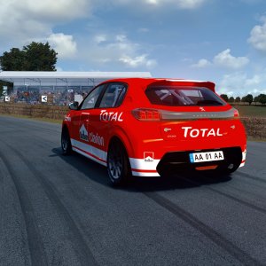 Screenshot_sr_peugeot208_rally4_g333_goodwood_hillclimb_31-7-121-21-48-50.jpg