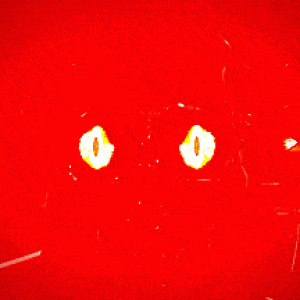 (GIF) This Halloween season greets the car meet Test Track a chill down their spines with some power and speed of the LCC Sanctus