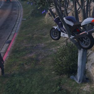 The new Nagasaki Shinobi stalks me on its natural place of finding 2