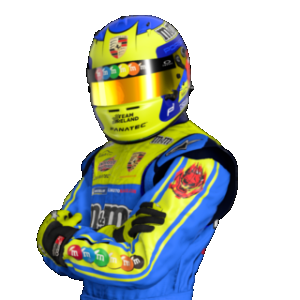 WSR Cup.png