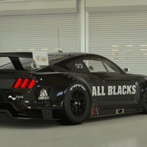 All Blacks Mustang Gr.3_2.jpg