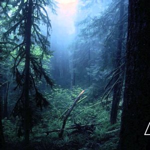 Carbon Based Lifeforms - Interloper (Full Album)