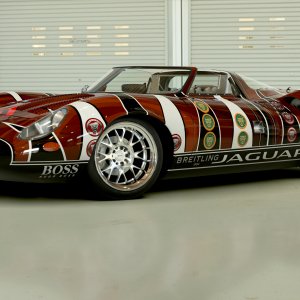 JagBack1.jpg