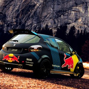 Red Bull Peugeot 208 Rallycross 3.jpg