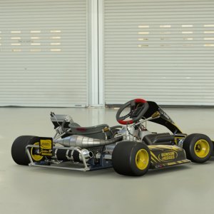 Buzzin Hornets Kart