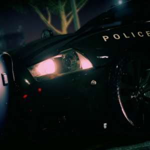 Police Charger.