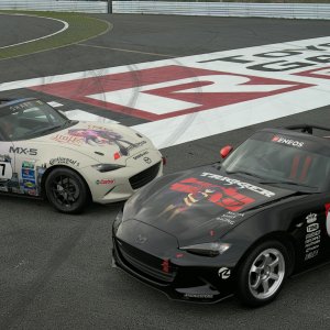 TGR Corner and Run-Off Area_.jpeg