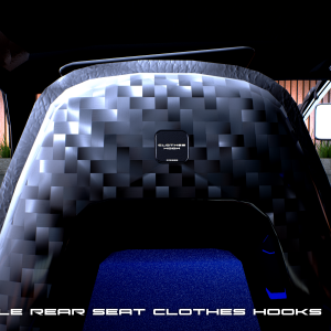 Rear seat clothes hooks.png