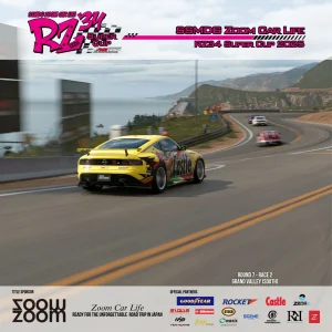 32.webp